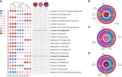 Transcriptome and chemical analyses revealed the  - Frontiers